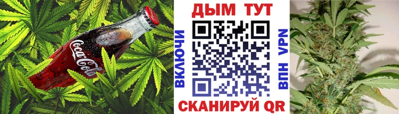 Cannafood конопля  Купить  Валуйки 