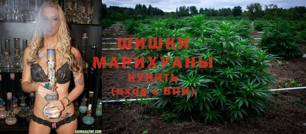 гидропоника Каменногорск
