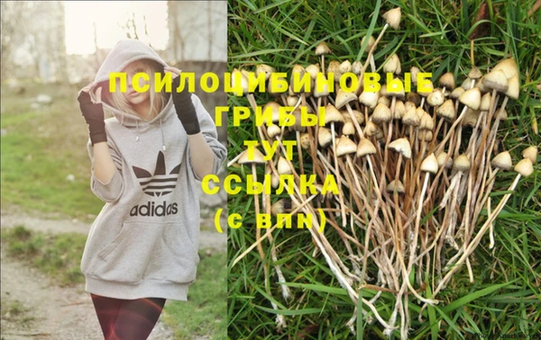бошки Инта