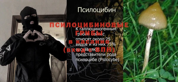 бошки Инта
