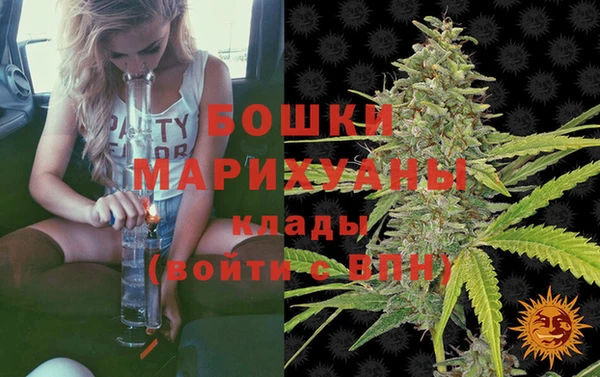 бошки Инта
