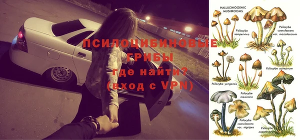 бошки Инта