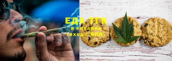гашик Каменка