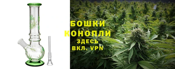 бошки Инта